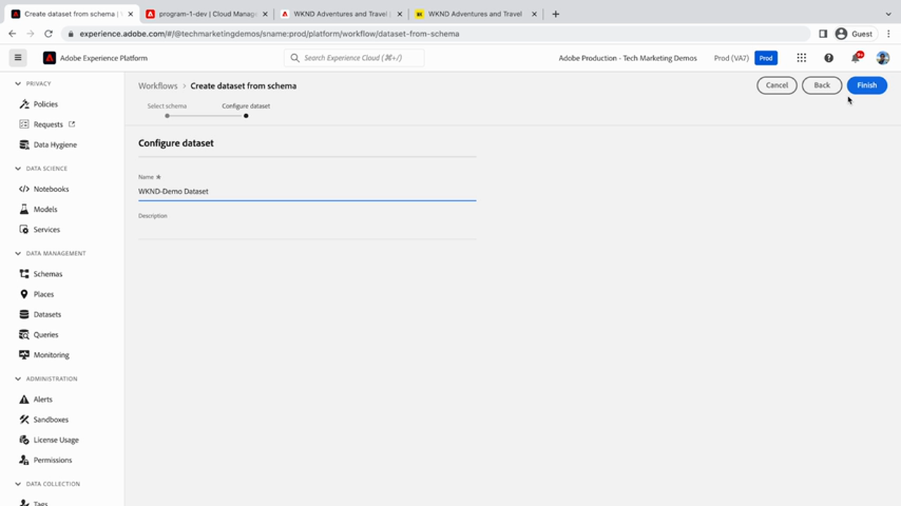 Create dataset from schema workspace