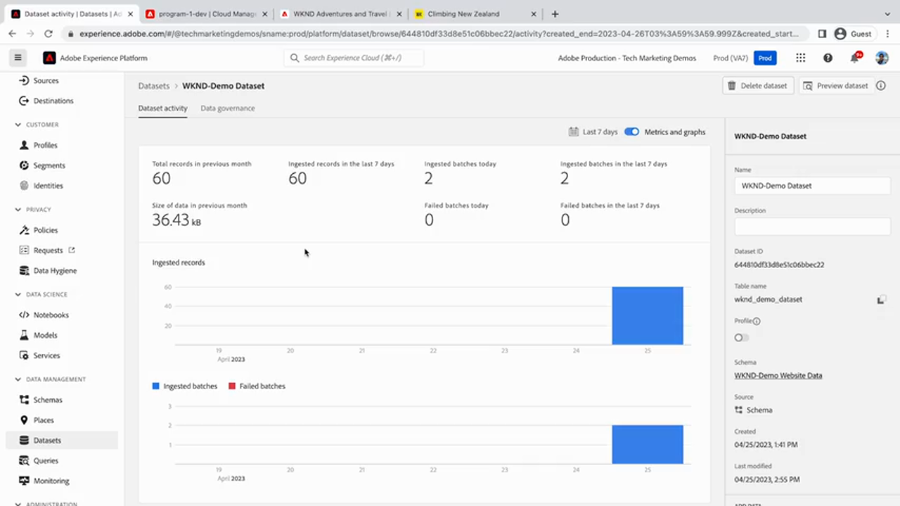 Dataset activity showing ingested records and batches